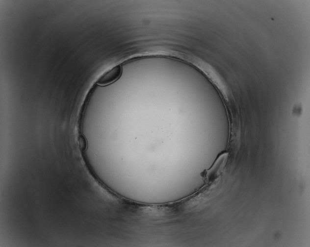 X0000102840805200809021335