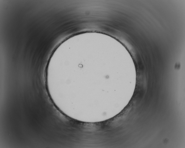 X0000102840807200809021335