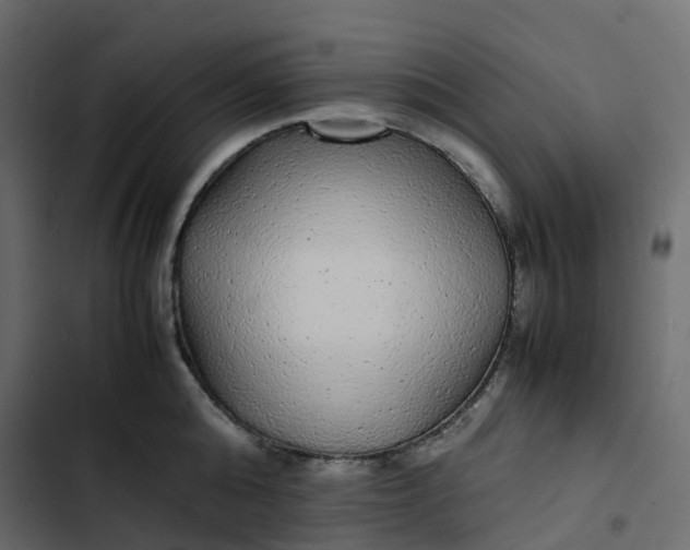 X0000102840808200809021335