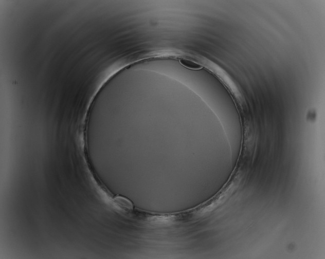 X0000102840810200809021335