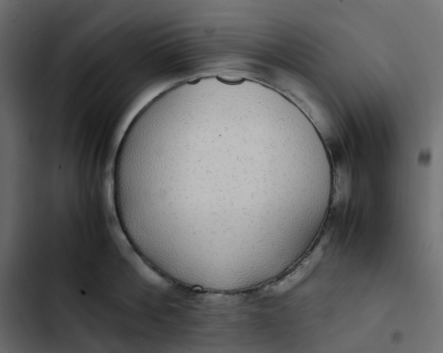 X0000102840812200809021335