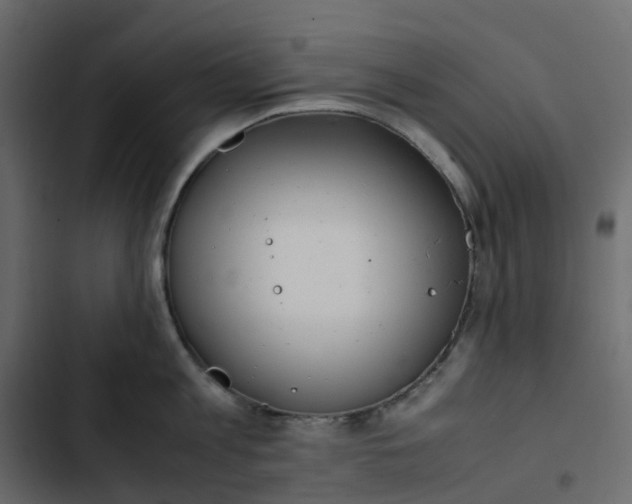 X0000102840813200809021335