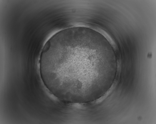 X0000102840814200809021335