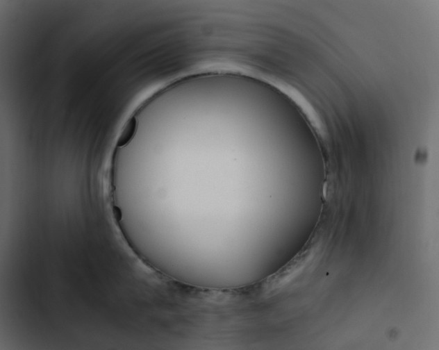 X0000102840815200809021335