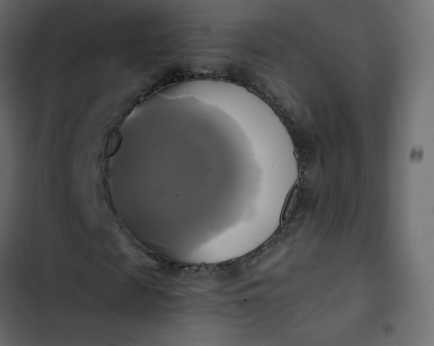 X0000102840817200809021334