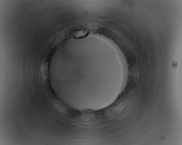 X0000102840818200809021334