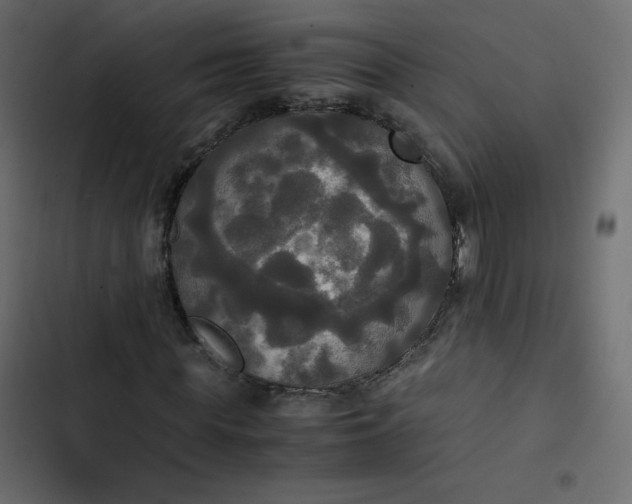 X0000102840819200809021334