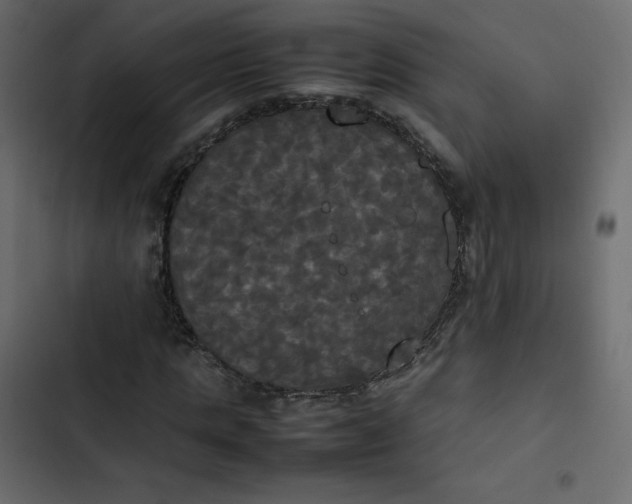 X0000102840821200809021334