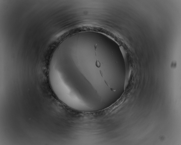 X0000102840822200809021334