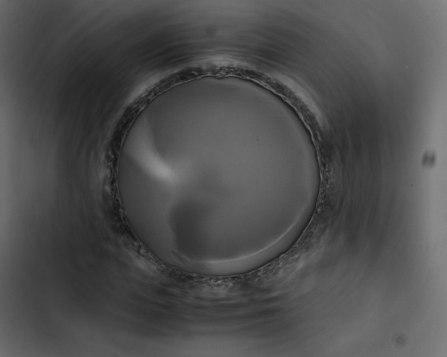 X0000102840823200809021334