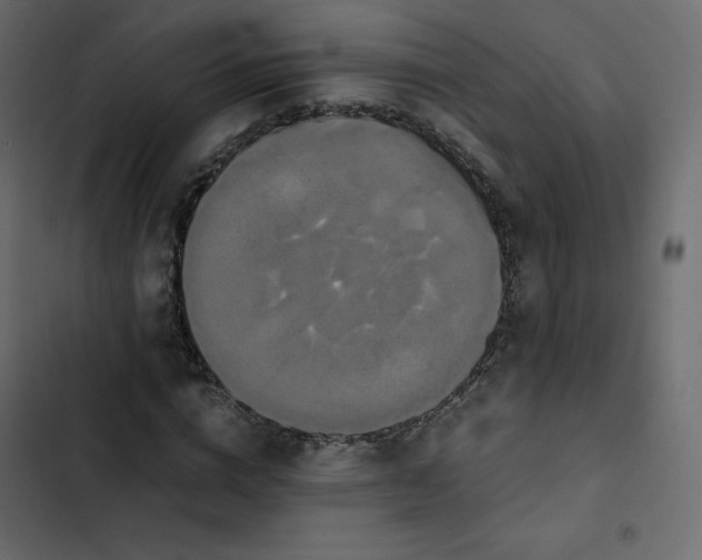 X0000102840824200809021334