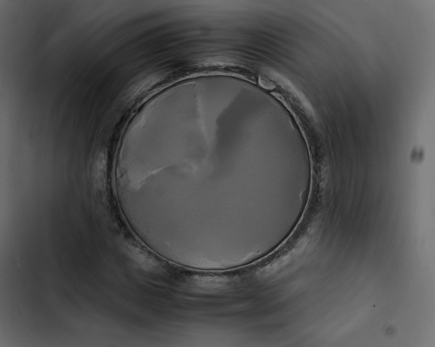 X0000102840825200809021334