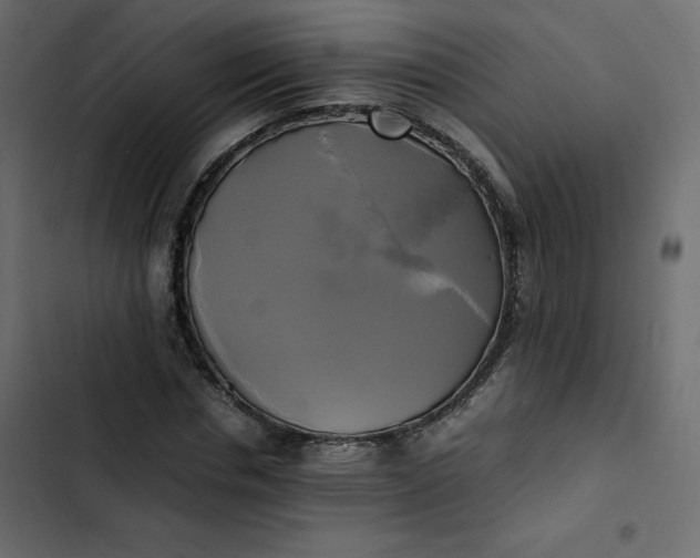 X0000102840826200809021334