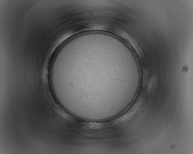 X0000102840827200809021334