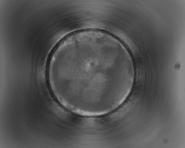 X0000102840828200809021334