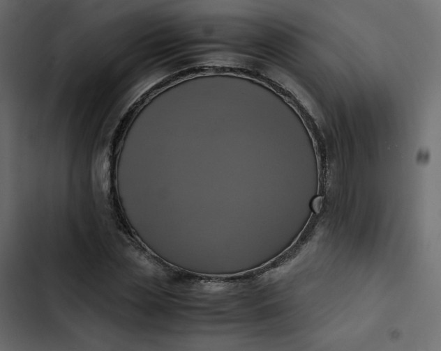 X0000102840829200809021334