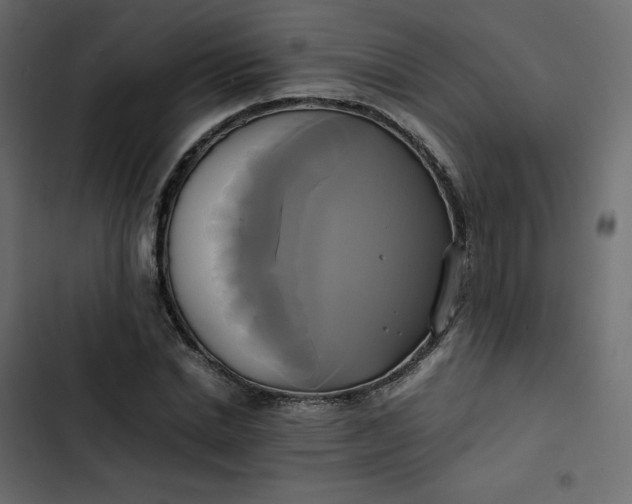 X0000102840830200809021334