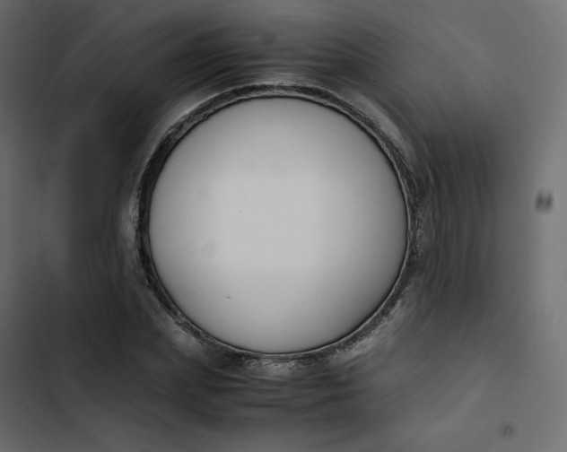 X0000102840831200809021334