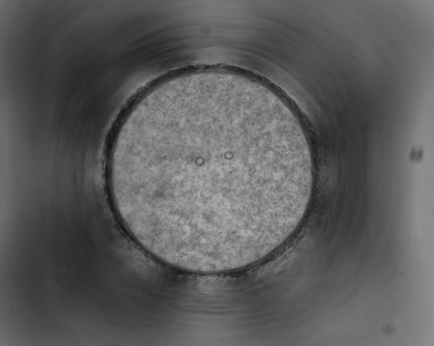 X0000102840832200809021334