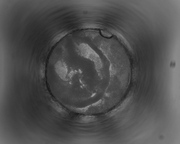 X0000102840833200809021334