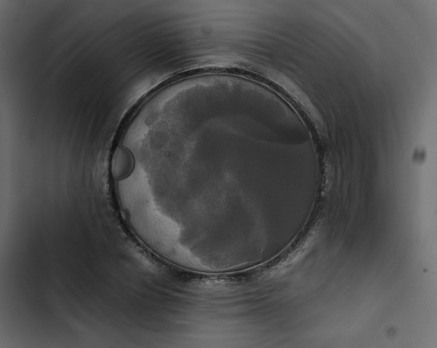 X0000102840834200809021334