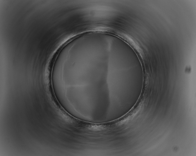 X0000102840835200809021334