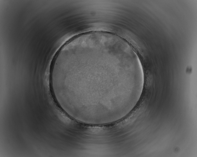 X0000102840836200809021334