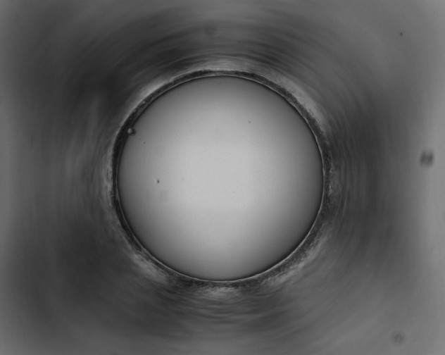 X0000102840837200809021334