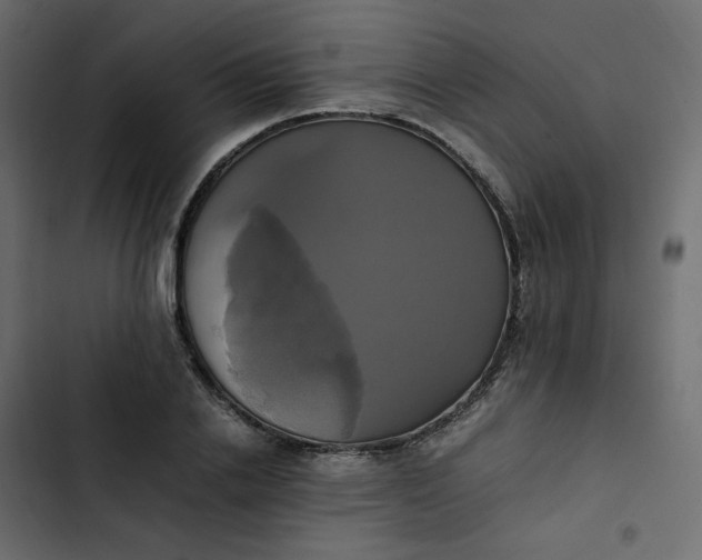 X0000102840838200809021335