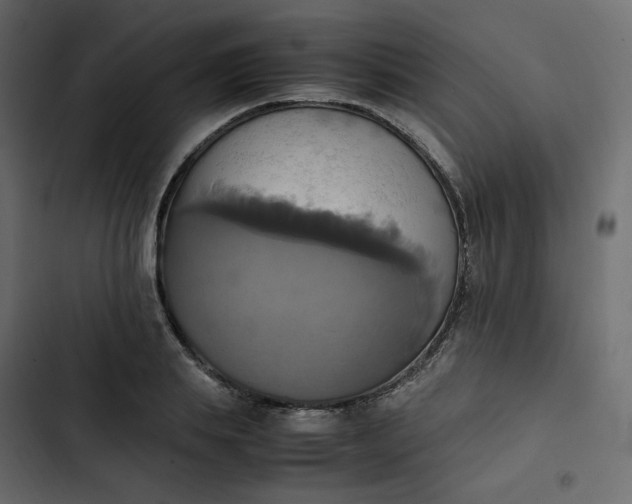 X0000102840839200809021335