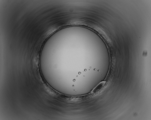 X0000102840841200809021335