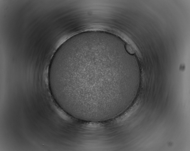 X0000102840842200809021335