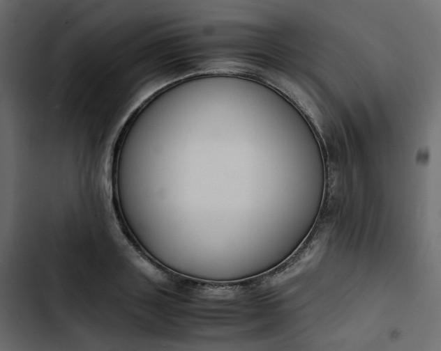 X0000102840843200809021335