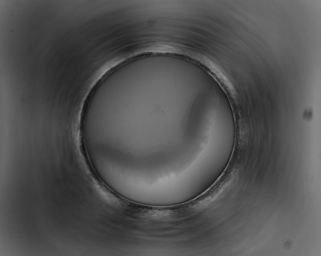 X0000102840845200809021335