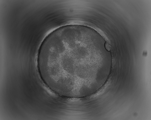 X0000102840846200809021335