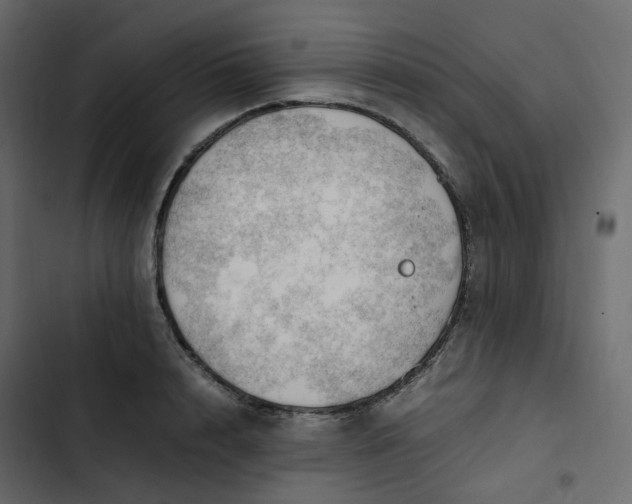 X0000102840848200809021335