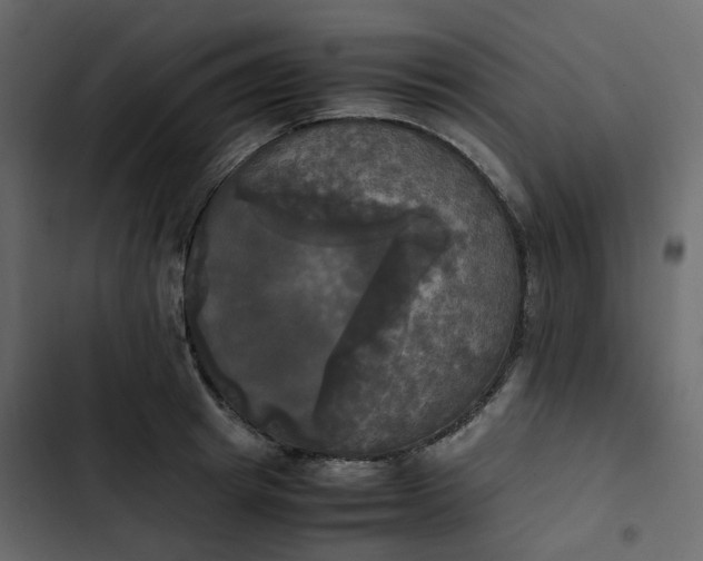 X0000102840849200809021335