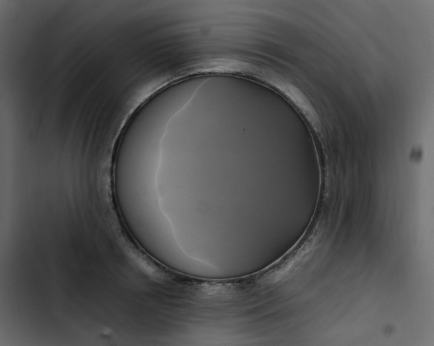 X0000102840850200809021335