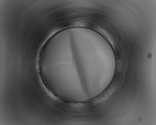 X0000102840851200809021335