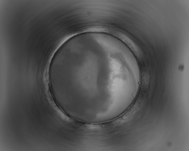 X0000102840852200809021335