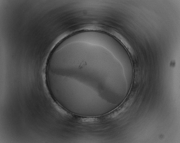 X0000102840853200809021335