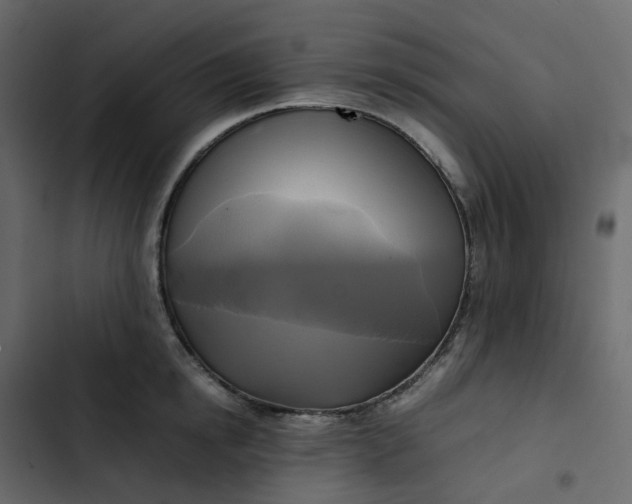 X0000102840854200809021335