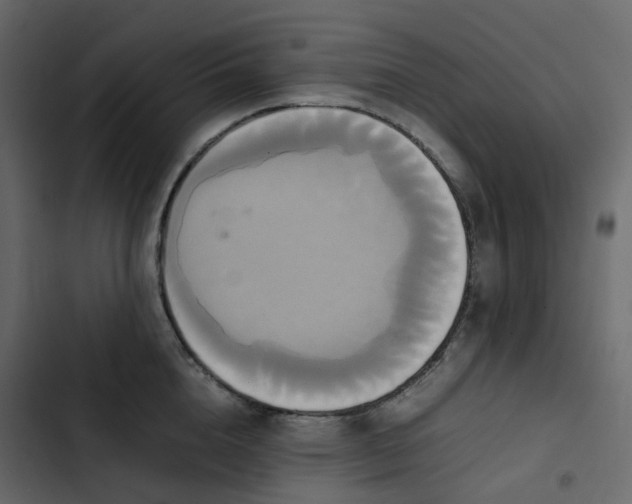 X0000102840856200809021335