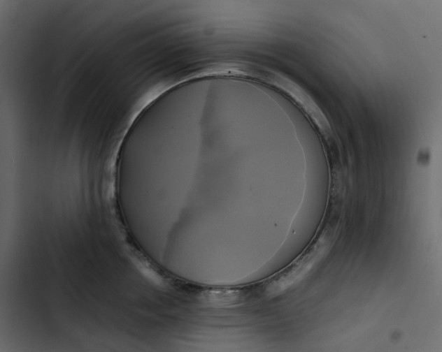 X0000102840858200809021335