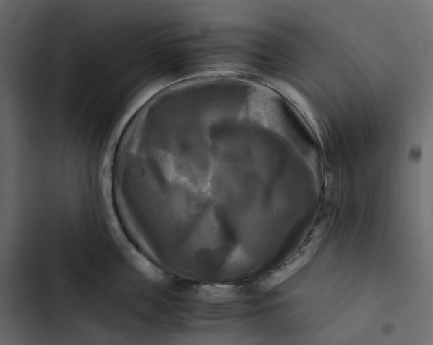 X0000102840859200809021335