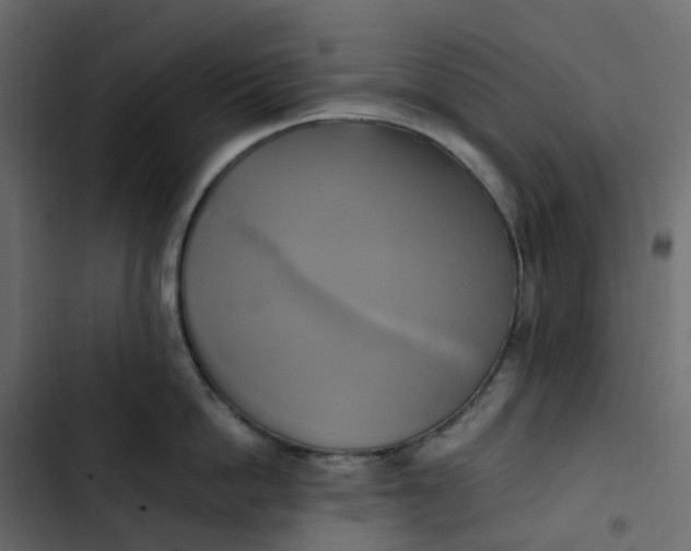 X0000102840862200809021335