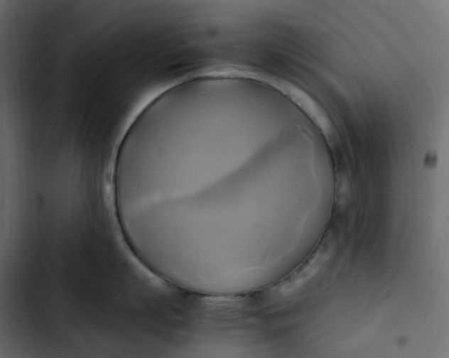 X0000102840863200809021335