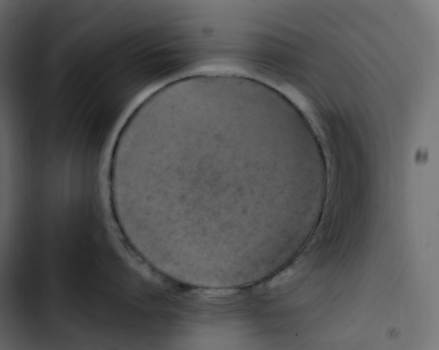 X0000102840864200809021335