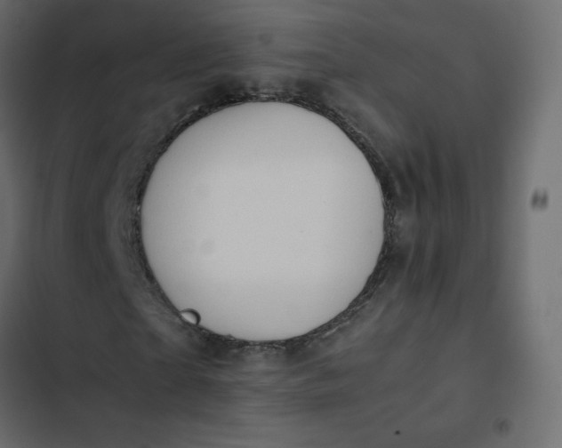 X0000102840865200809021334