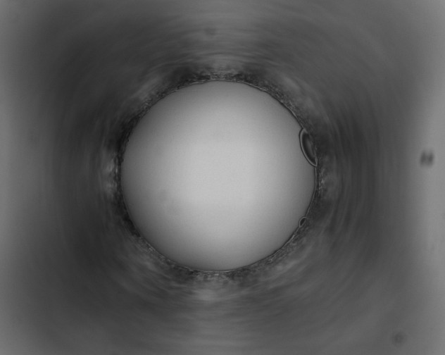 X0000102840866200809021334